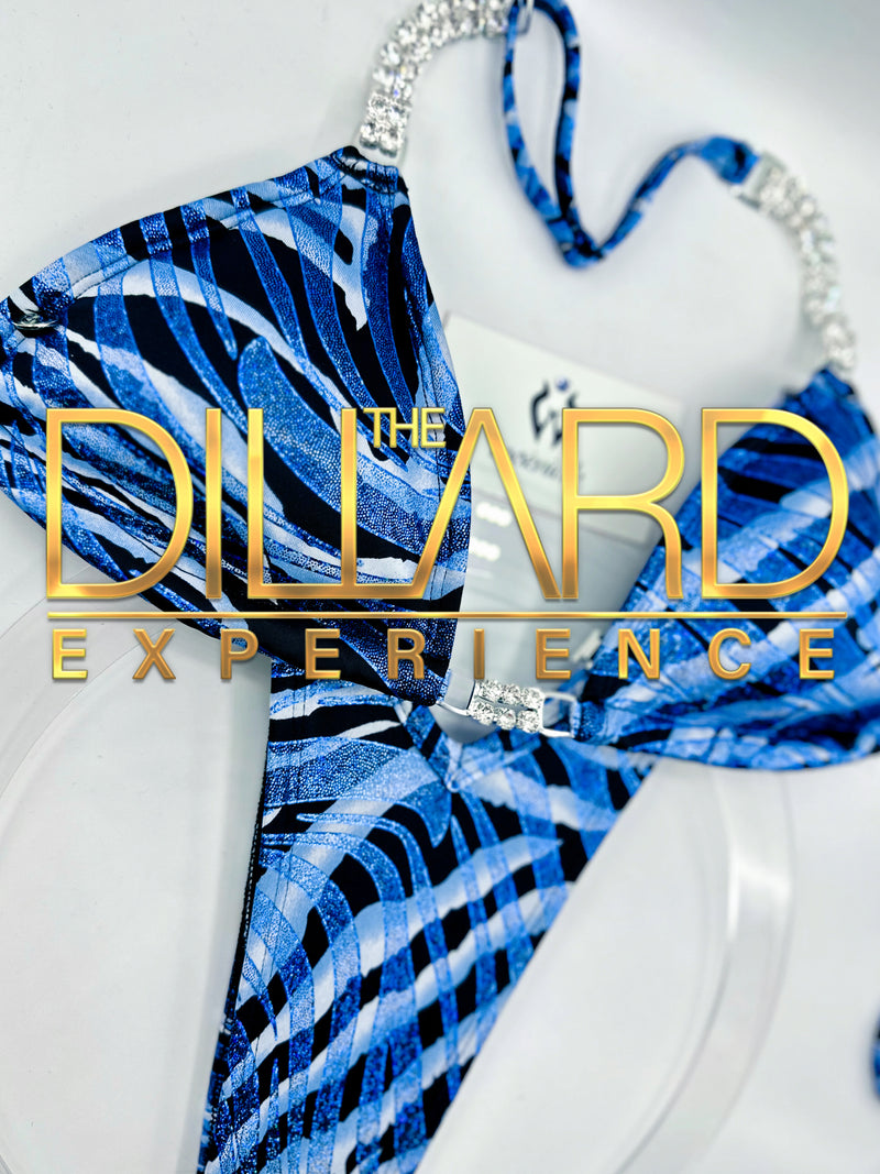 The Dillard Experience Suit